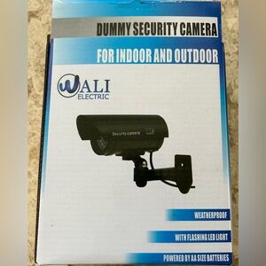 "Dummy" security camera